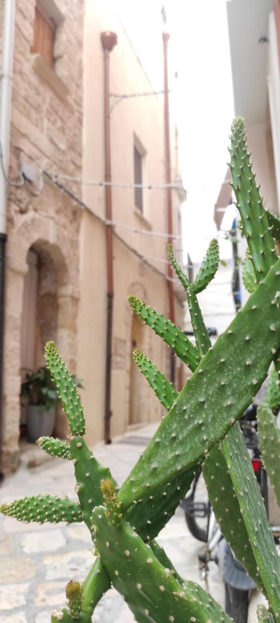 La Follia Dell'Architetto Villa บารี ภายนอก รูปภาพ